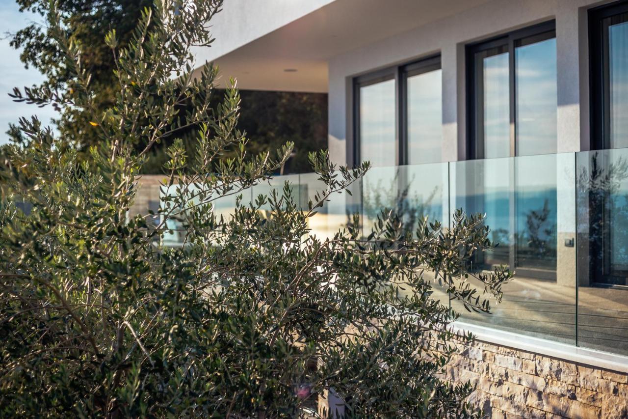 Villa Dispet With Heated Pool, Jacuzzi, Sauna And Cinema Celina Exteriér fotografie